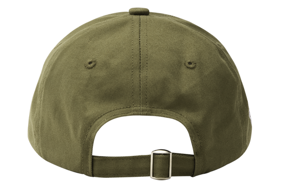 C6 theElems* cap - Green