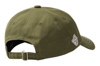 C6 theElems* cap - 綠色