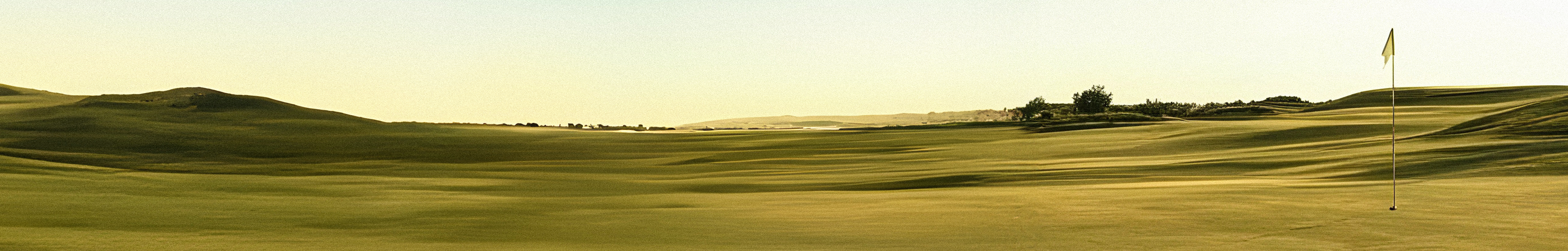 golf_field.png